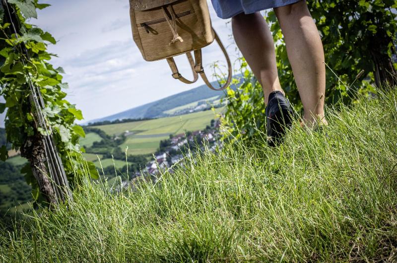 Ratskeller image