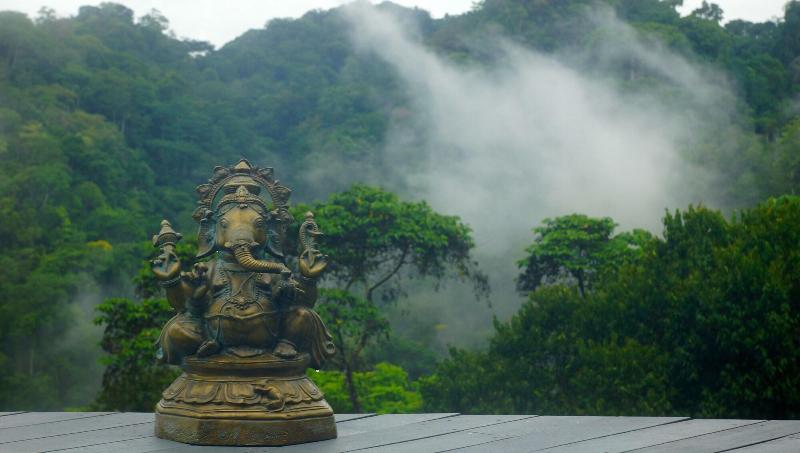 Luna Lodge image