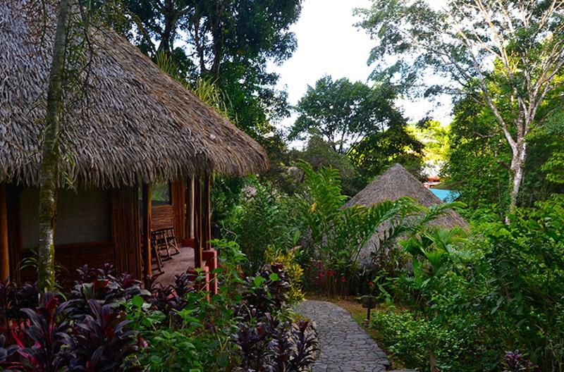 Luna Lodge image