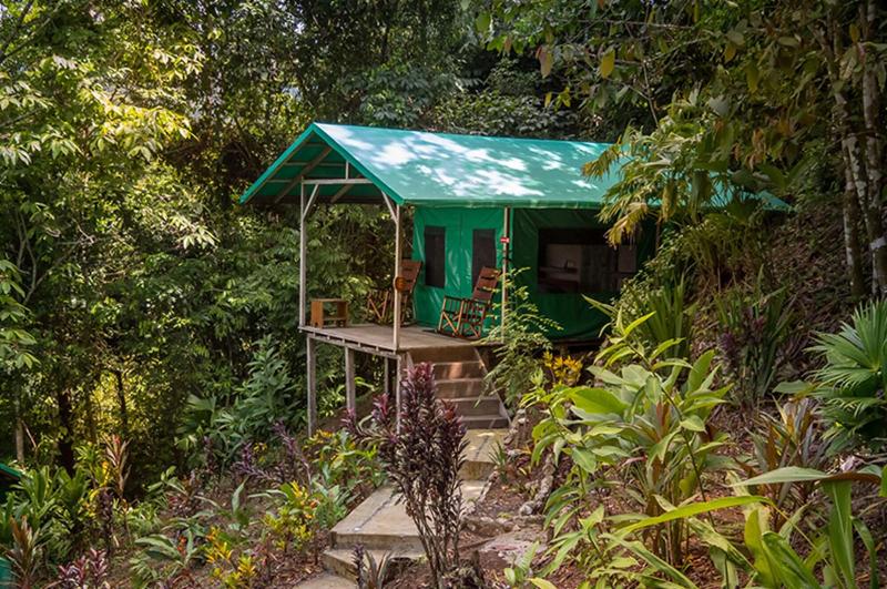 Luna Lodge image