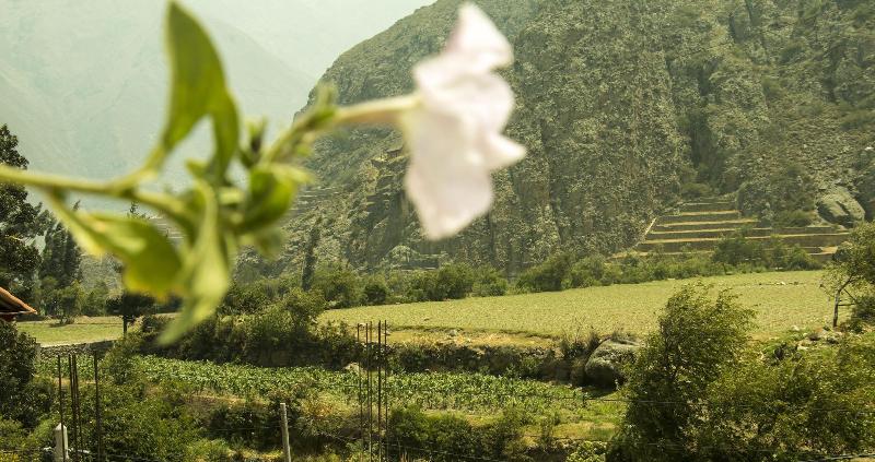 Inka Khawarina Tambo Lodge image