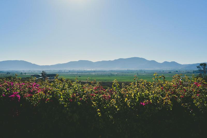 Hotel Hacienda Guadalupe image