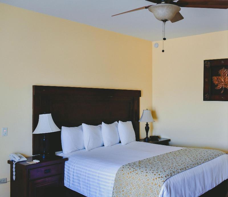 Hotel Hacienda Guadalupe image