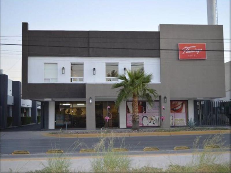 Hotel Flamingo Juarez image