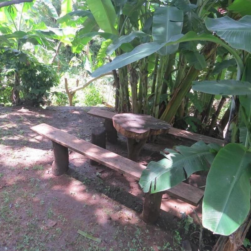 Agua Blanca — general view