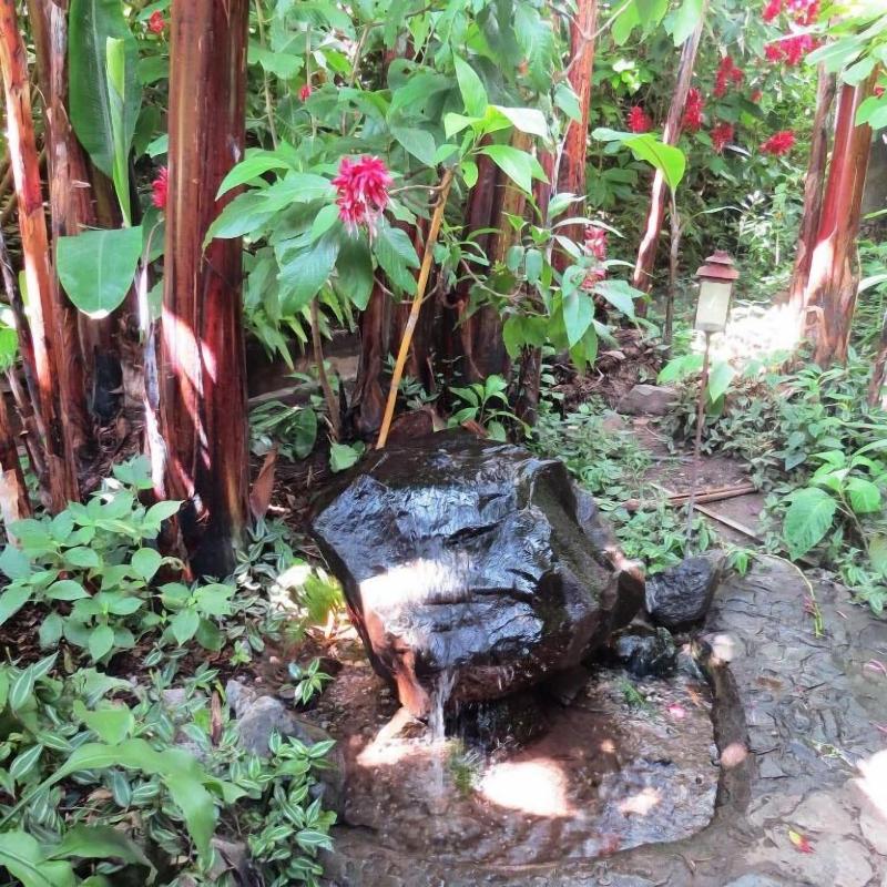 Agua Blanca