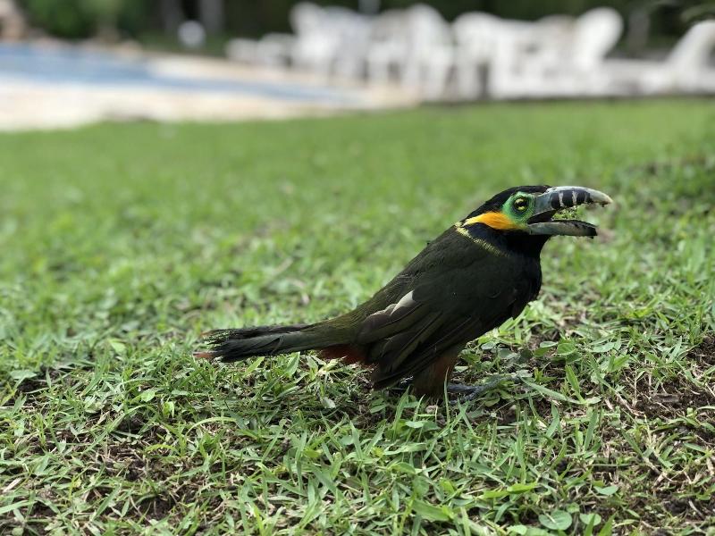 Pousada Villa da Glória