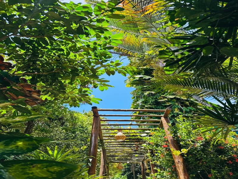Pousada Sossego Boipeba image