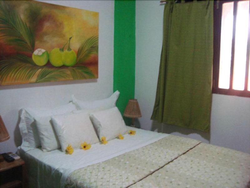 Pousada Vila Anaua image