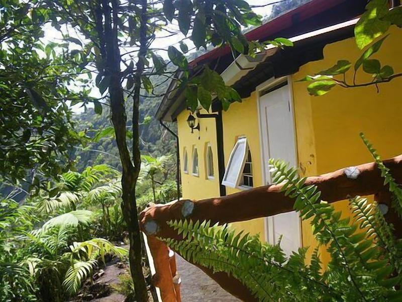 La Casa Amarilla image