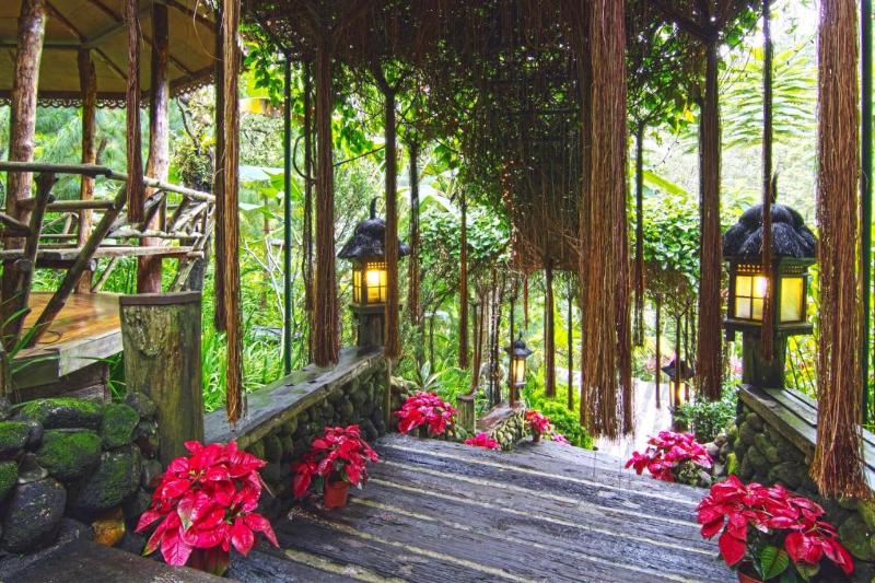 Fig Tree Hill Resort image