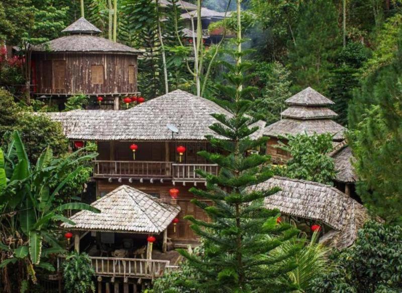 Fig Tree Hill Resort image