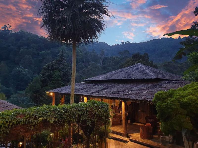 Fig Tree Hill Resort image