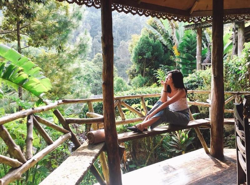 Fig Tree Hill Resort image