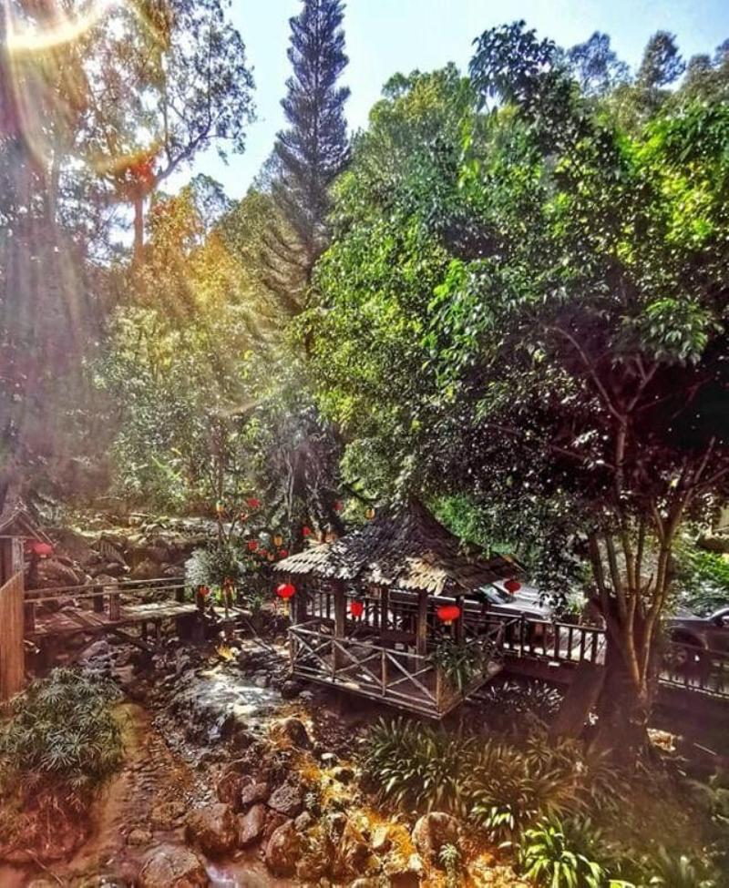 Fig Tree Hill Resort image