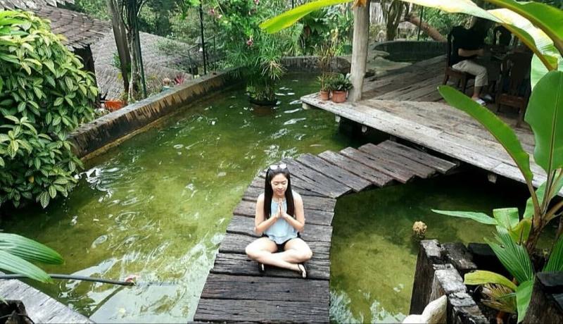 Fig Tree Hill Resort image