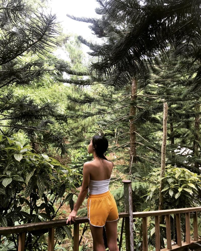 Fig Tree Hill Resort image