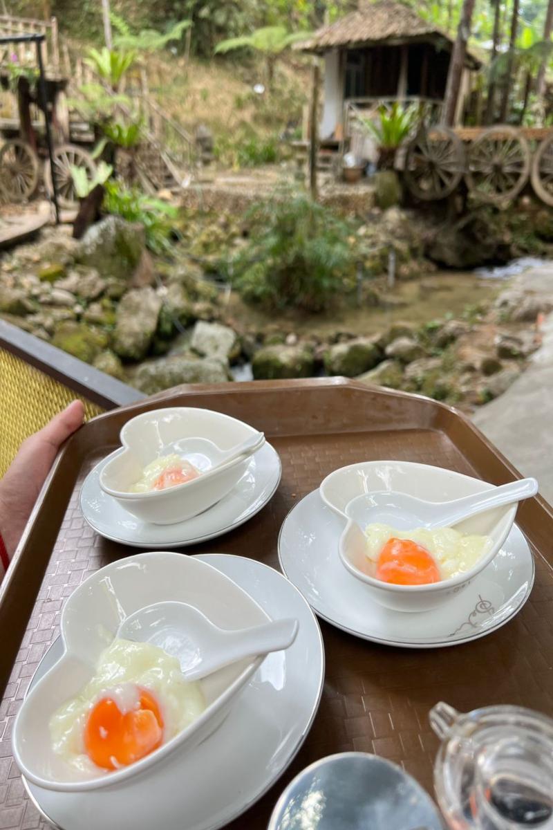 Fig Tree Hill Resort image