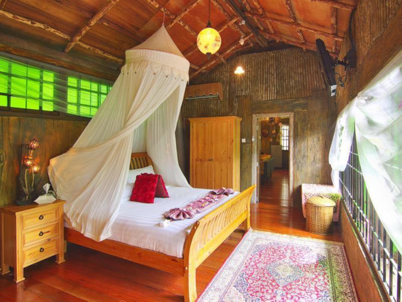 Fig Tree Hill Resort image