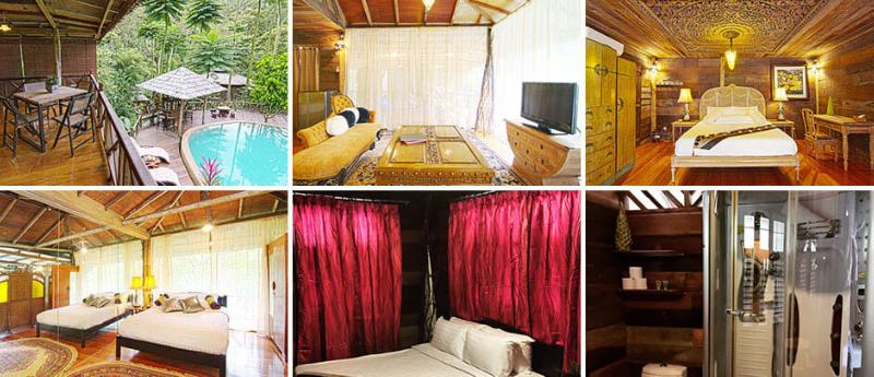 Fig Tree Hill Resort image