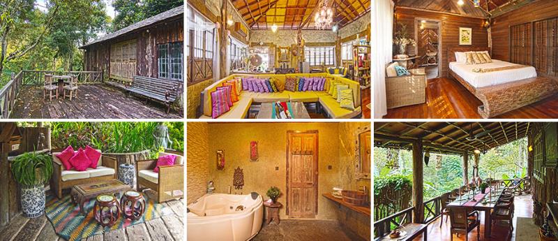 Fig Tree Hill Resort image