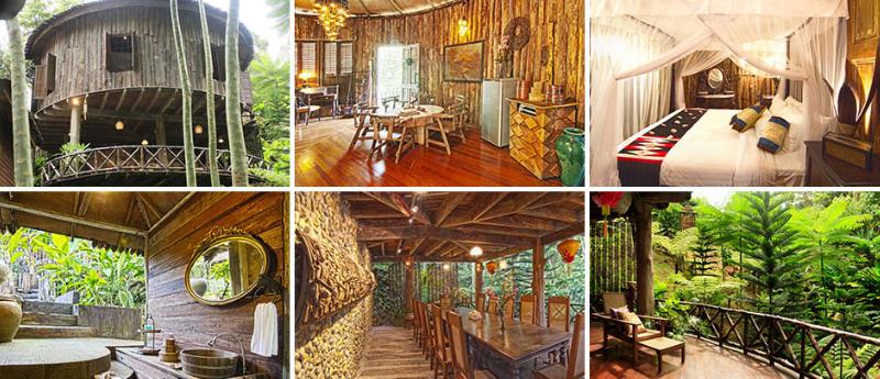 Fig Tree Hill Resort image