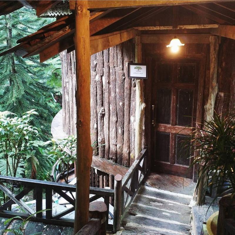 Fig Tree Hill Resort image