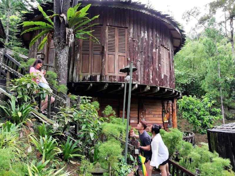 Fig Tree Hill Resort image