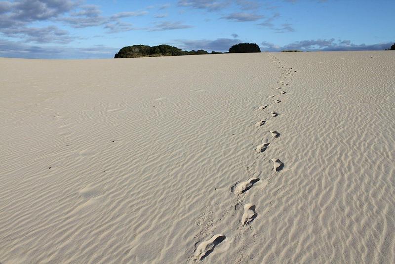 Strahan Wilderness Lodge