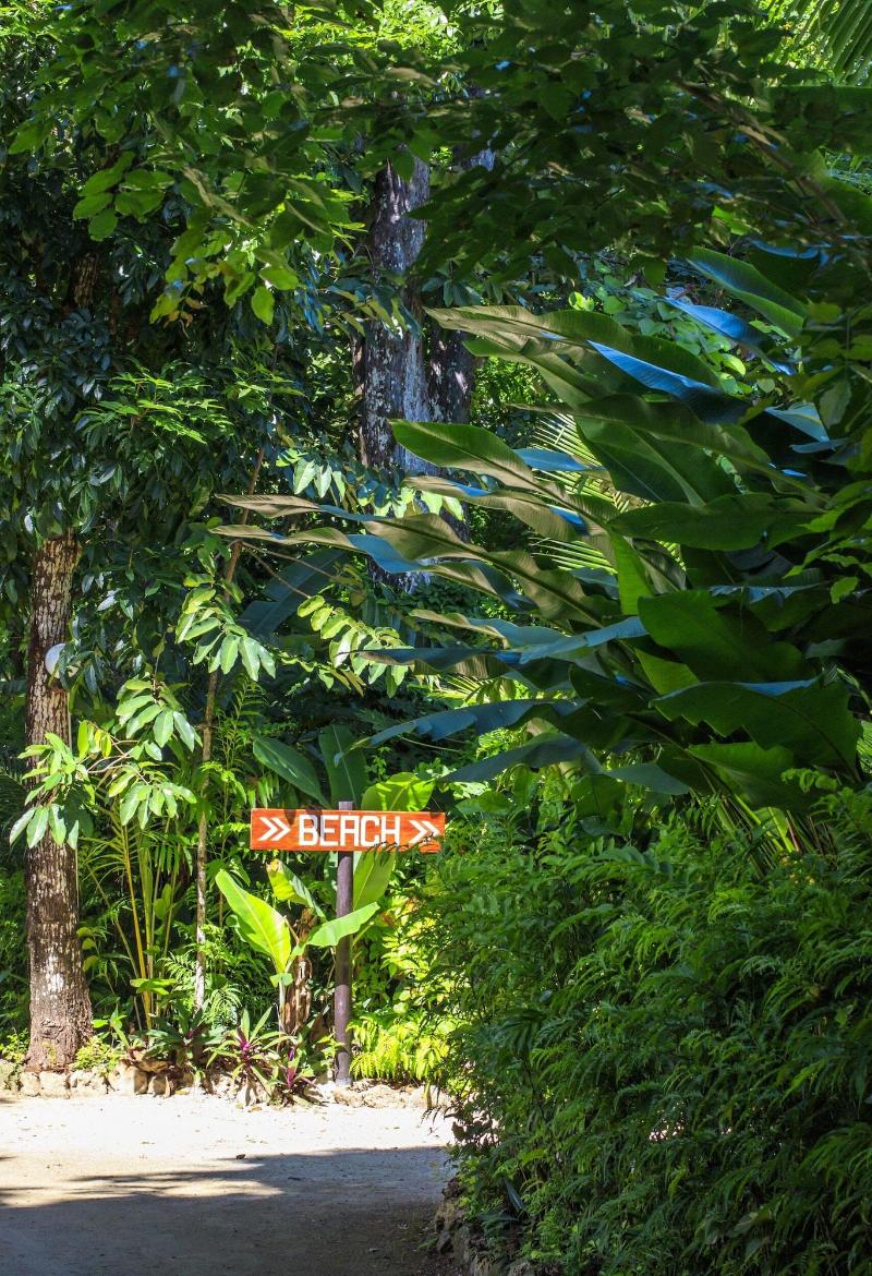 Savasi Island Resort image