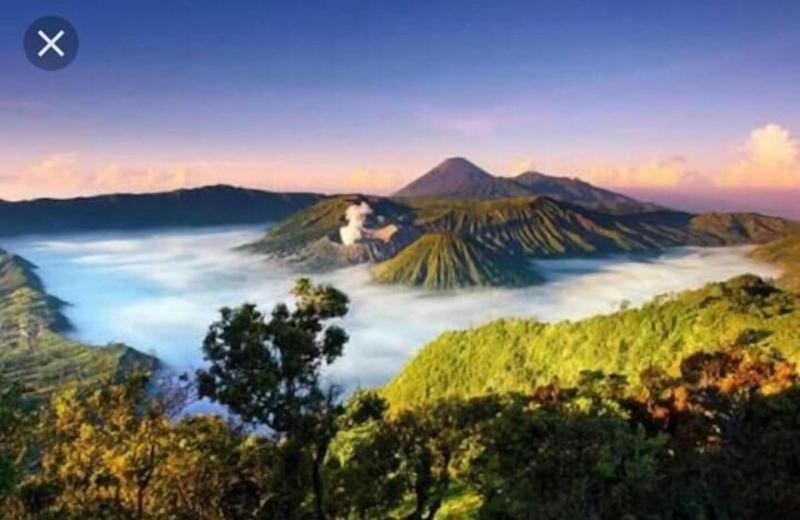 Olivia Homestay image
