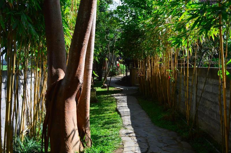 Villa D'Carik Bali image