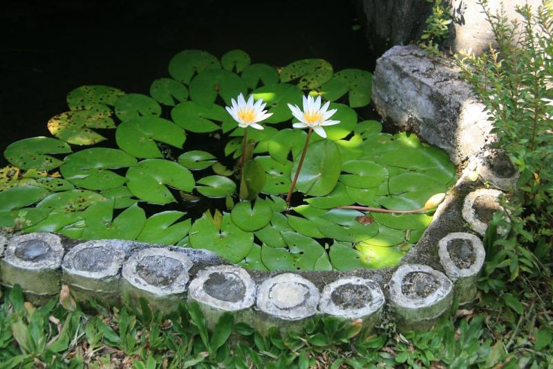 Ojeks Homestay image