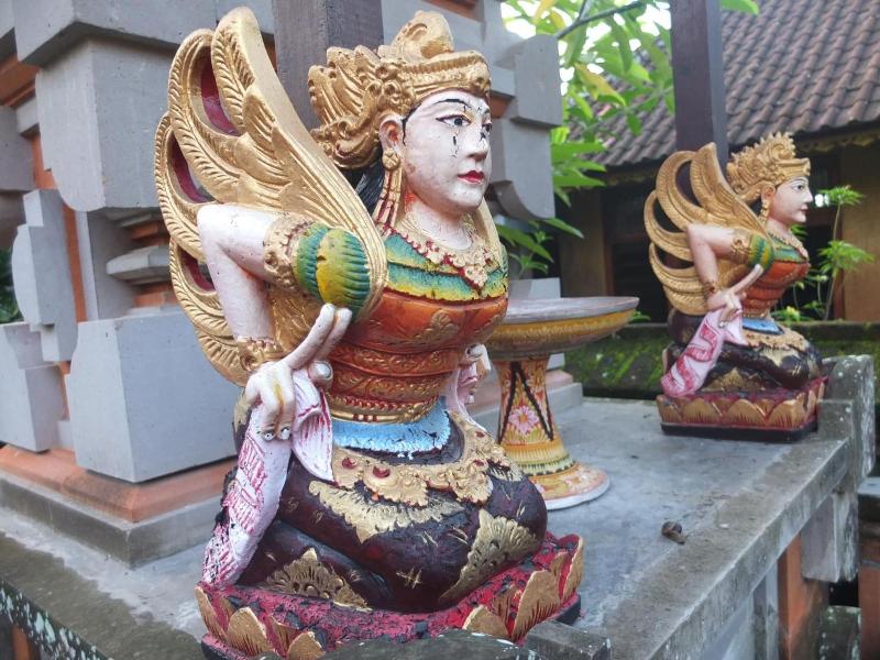 Ojeks Homestay image