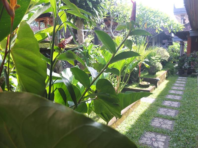 Ojeks Homestay image
