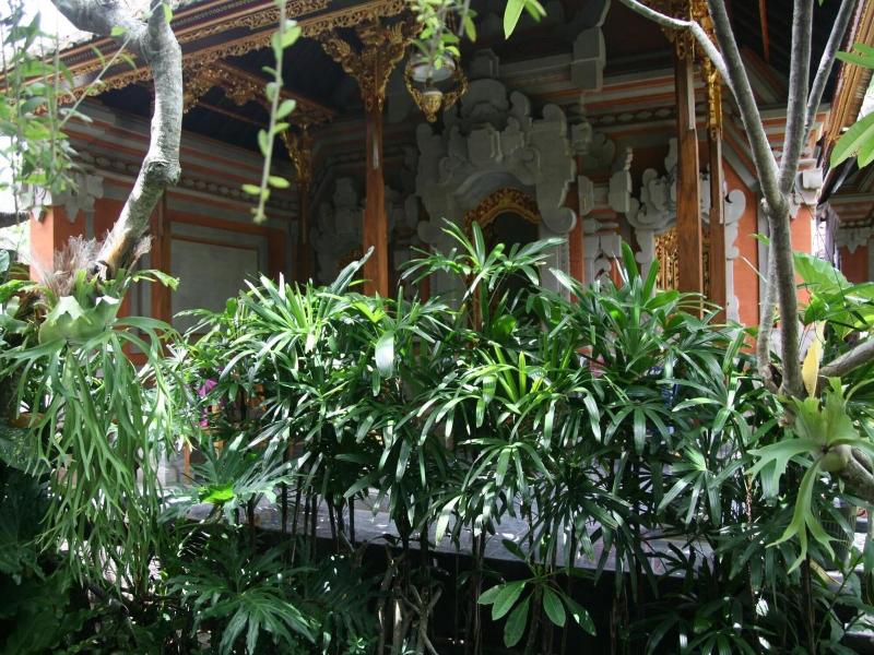 Ojeks Homestay image