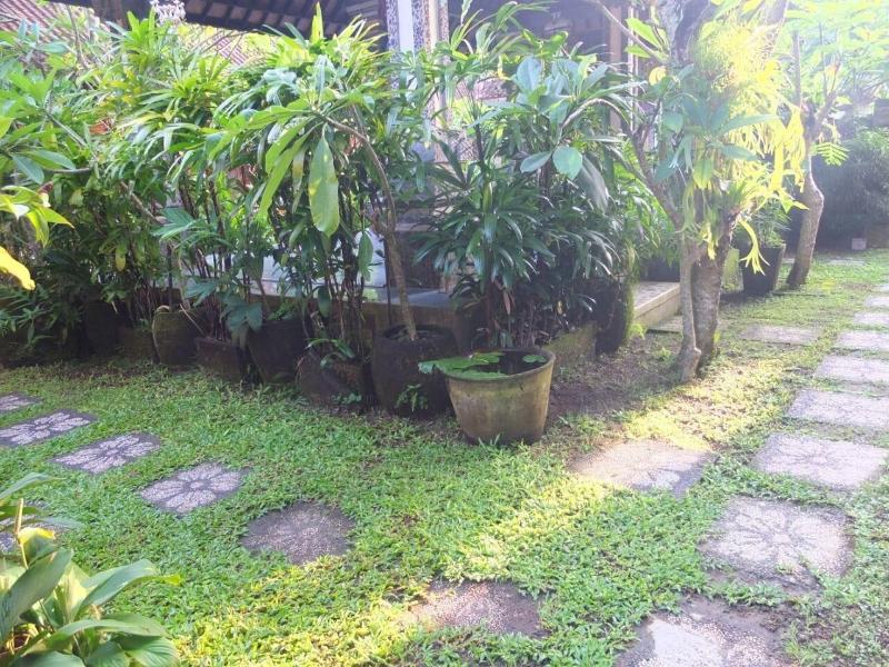 Ojeks Homestay image