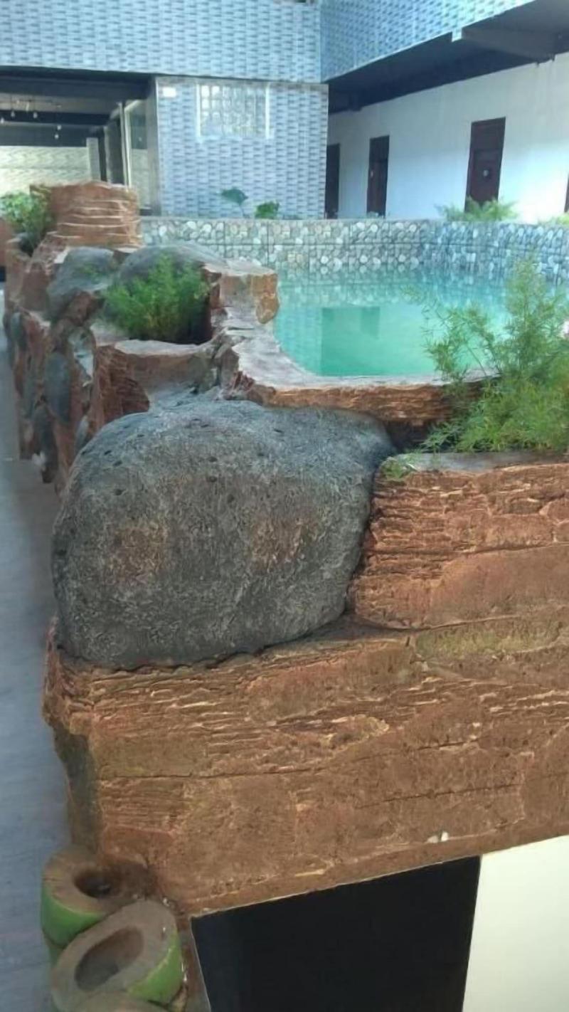 Coconut Hotel image