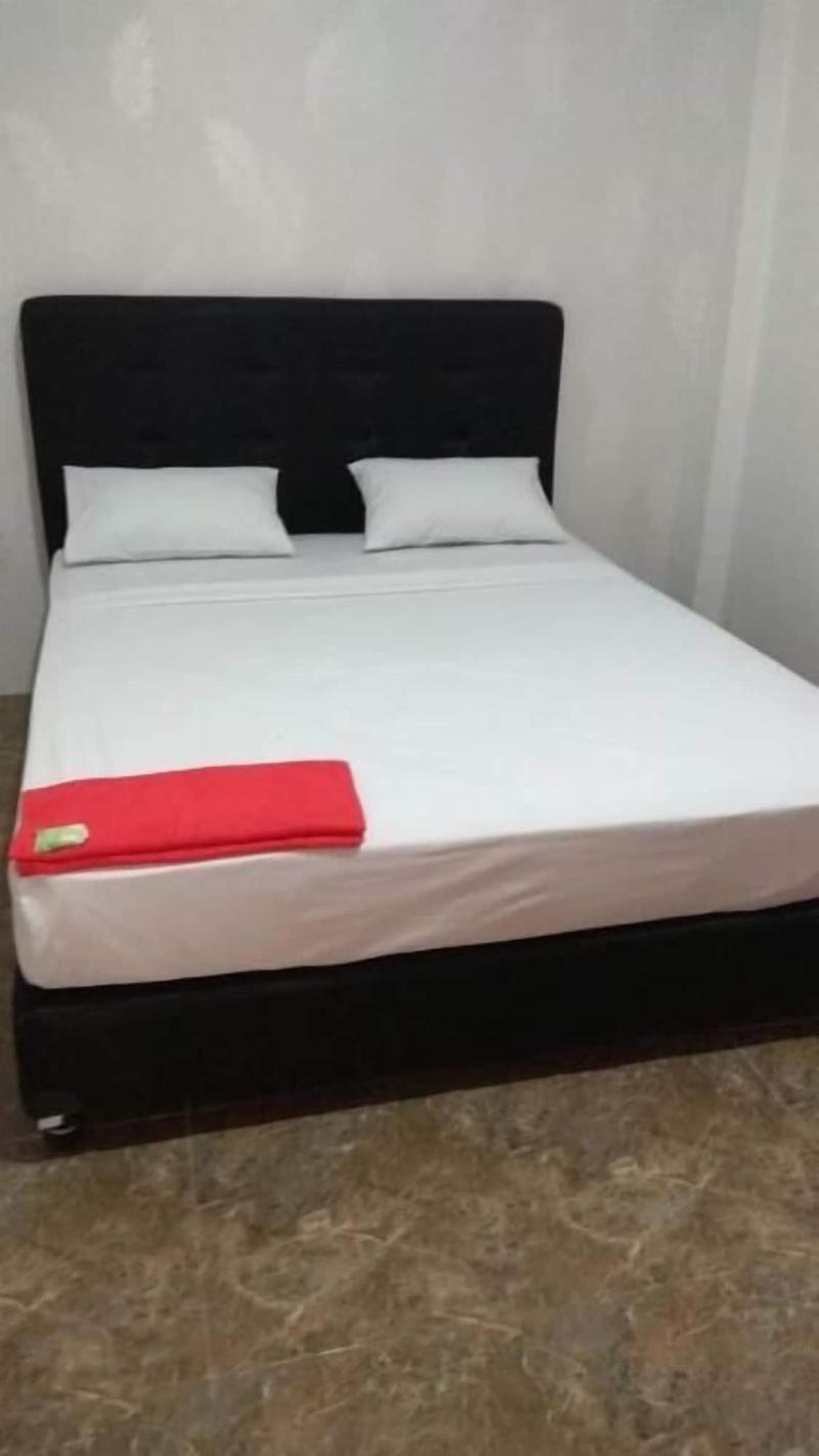 Coconut Hotel image