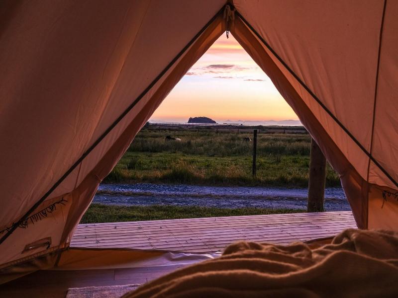 The Barn Cabins & Camping image