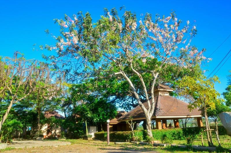 Rimpu Hill Resort image