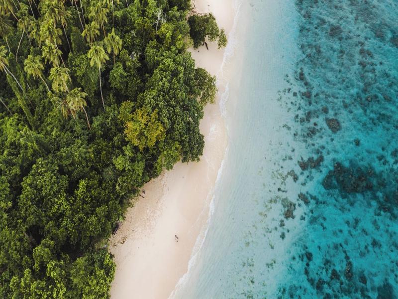 Sinalei Reef Resort & Spa image