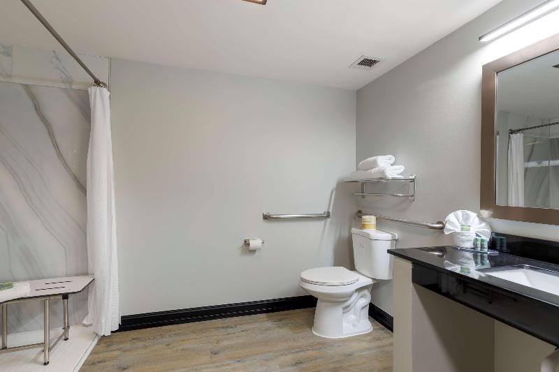 Best Western Corpus Christi Airport Hotel image