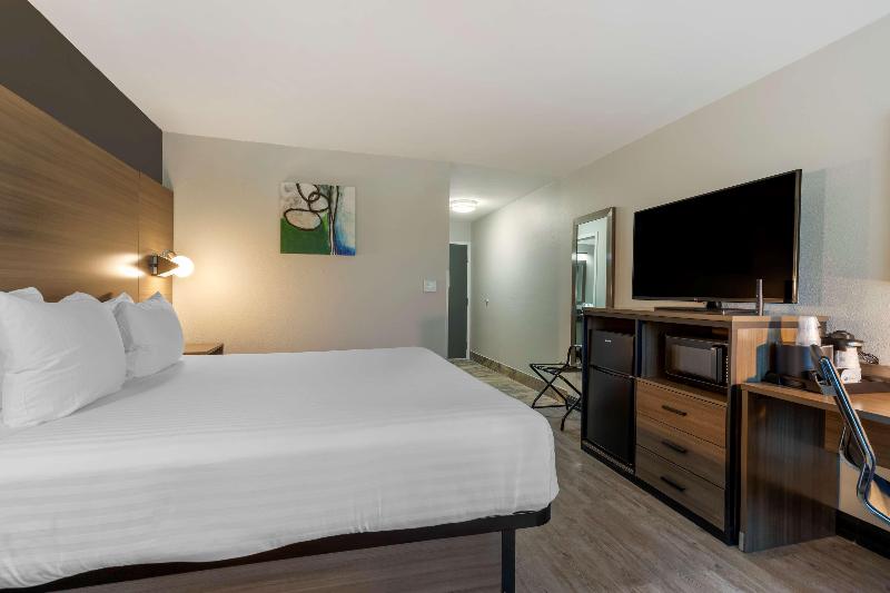 Best Western Corpus Christi Airport Hotel image