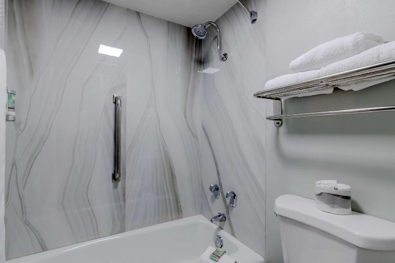 Best Western Corpus Christi Airport Hotel image