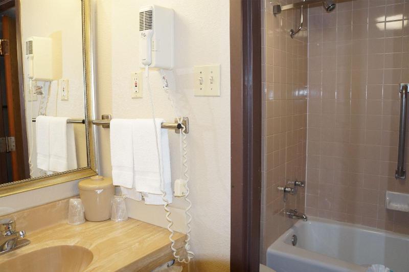 Best Western Corpus Christi Airport Hotel image