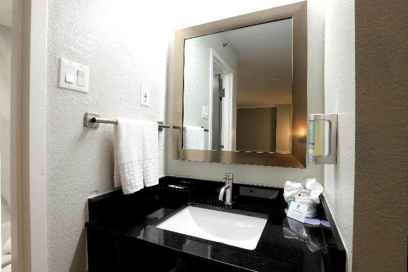 Best Western Corpus Christi Airport Hotel image