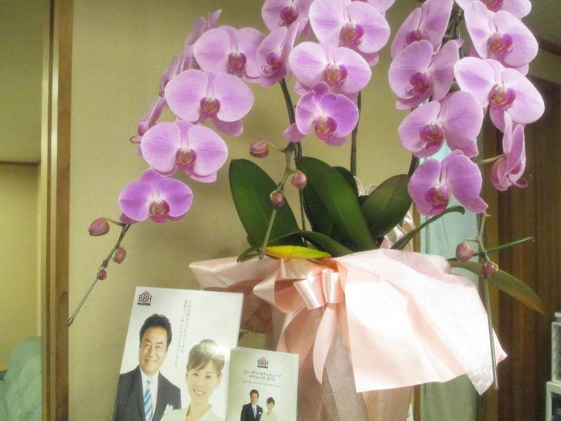 Hotel Crown Hills Imabari image