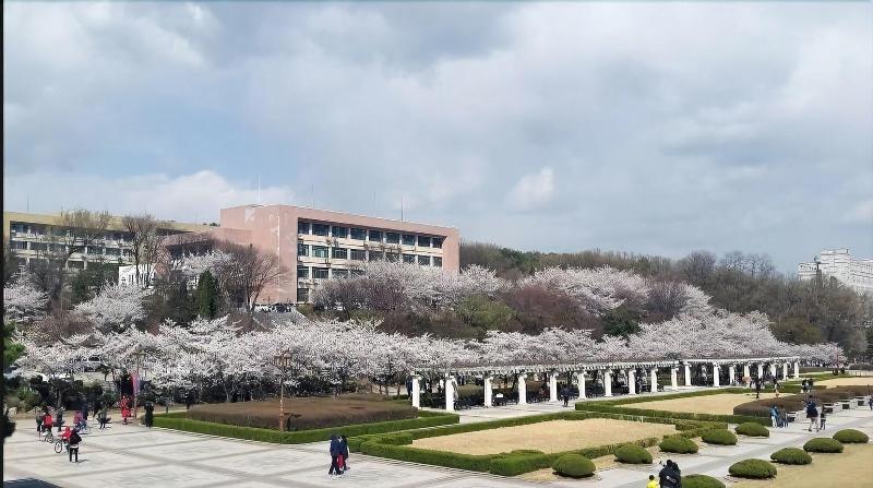 24 Guesthouse Seoul Cheongryangri image
