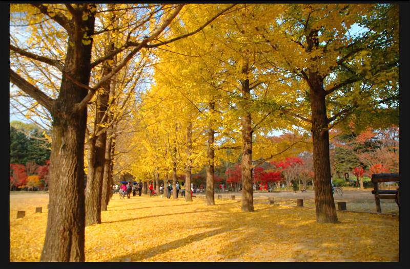 24 Guesthouse Seoul Cheongryangri image